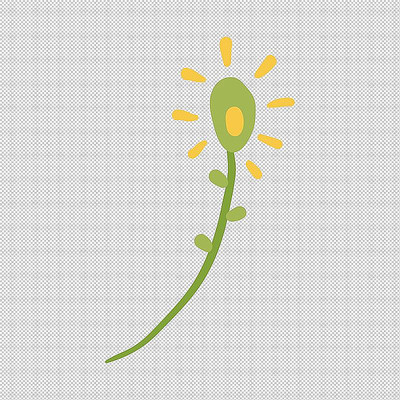 �ʻ����仨��