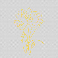 ����ɻ���ɫ