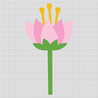 粉色花朵鲜花 粉色花朵鲜花