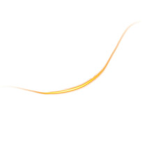 ɫ