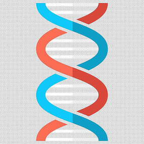 DNA