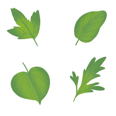 ��ɫֲ����ҶҶƬ