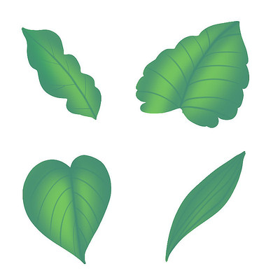 ��ɫֲ����ҶҶƬ