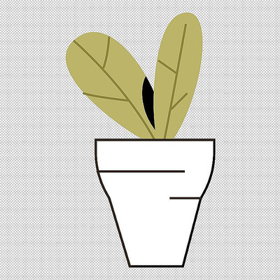 绿植植物盆栽