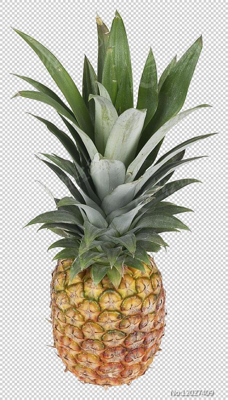 ʵͼԪ