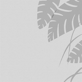 ҶӰӰ