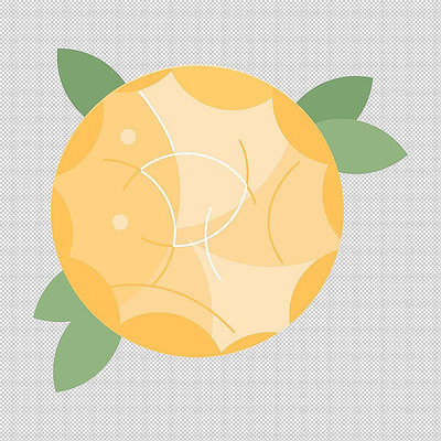 鲜花绿叶叶子 鲜花绿叶叶子