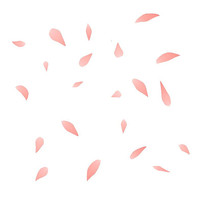 ŷ绨Ʈ