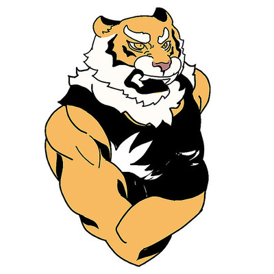 虎年凶猛老虎 虎年凶猛老虎