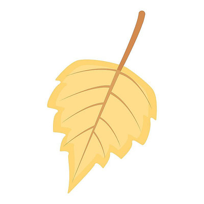 秋天落叶叶子植物 秋天落叶叶子植物