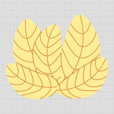 树叶叶子黄色植物 树叶叶子黄色植物