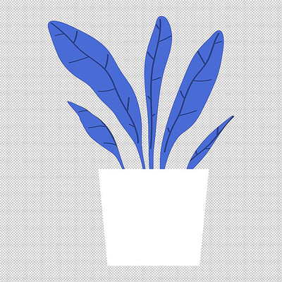 叶子植物盆栽 叶子植物盆栽