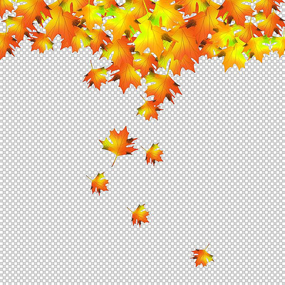 ֲ����� PSD