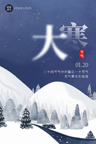 创意时尚大寒手机海报模板设计