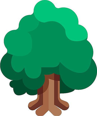 ������ľ��ֲ�ﴺ����ɫ��ͨ��ƽԪ��