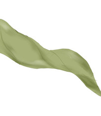 ˿