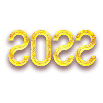 happy new year2022