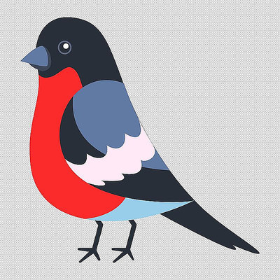 鸟类喜鹊动物 鸟类喜鹊动物