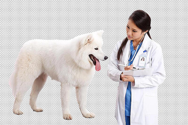 ��������ר��