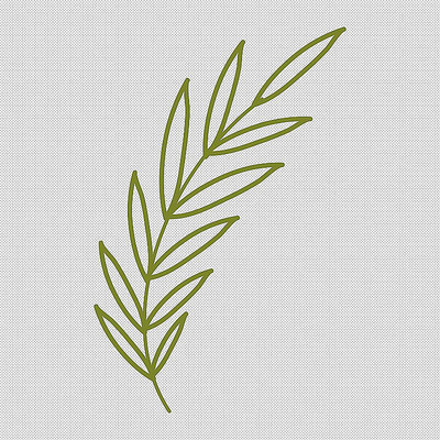 树叶树枝植物 树叶树枝植物