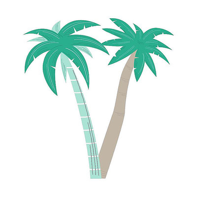 植物树椰子树卡通 植物树椰子树卡通