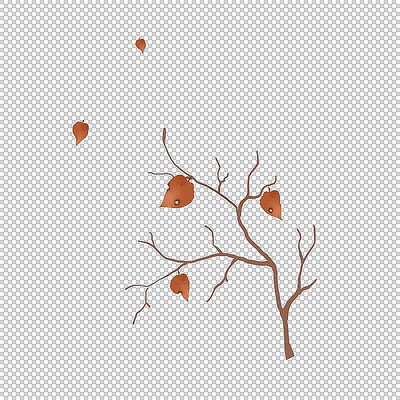 冬至叶子 冬至叶子