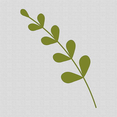 绿植树枝枝叶 绿植树枝枝叶