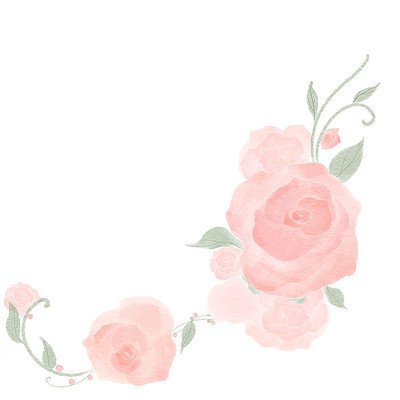 ���˽���������õ�廨 PSD