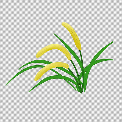 ����ˮ����ʳ PSD