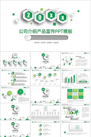 ��ɫ����˾���ܲ�Ʒ�������PPTģ��3799