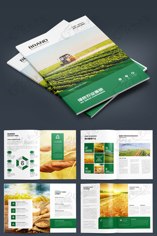 绿色食品画册模板 绿色食品画册模板