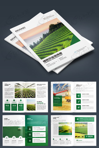 农产品宣传册模板 农产品宣传册模板