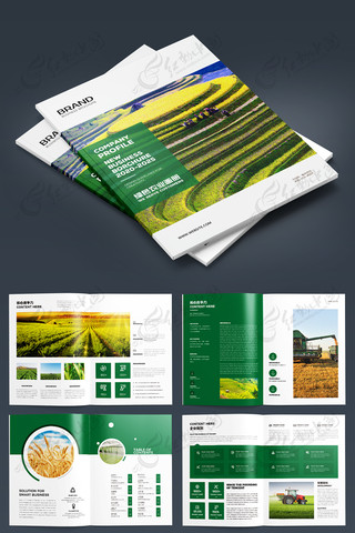 有机农产品宣传册 有机农产品宣传册
