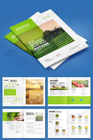 有机农产品宣传册 有机农产品宣传册