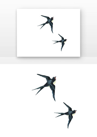 飞翔的春燕 飞翔的春燕