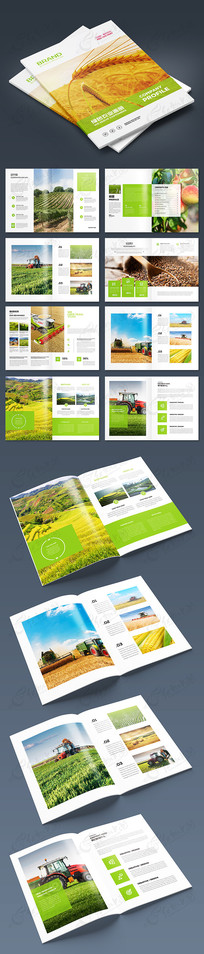 ��ɫũҵ������ģ��