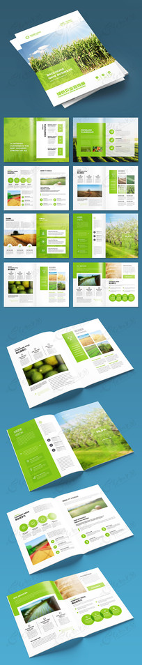 ��ɫũҵ�������ģ��