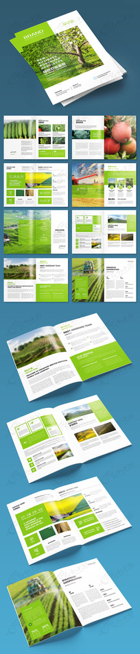 ��ɫʳƷ����ģ��