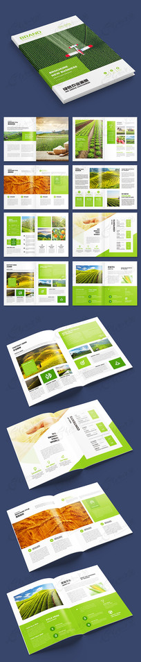 ��ɫʳƷ����ģ��