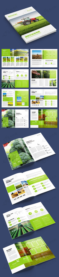 ��ɫʳƷ����ģ��