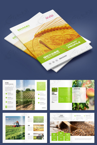 ��ɫũҵ������ģ�� AI