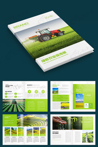 ��ɫũҵ������ģ�� AI