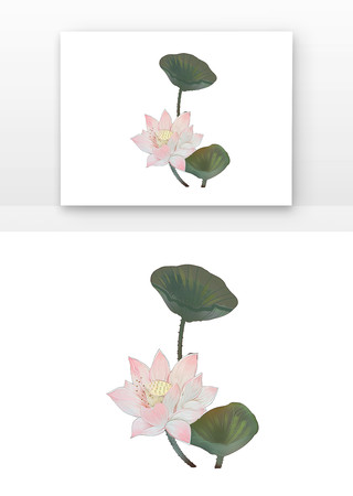 古风荷花手绘图 古风荷花手绘图