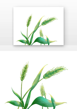 ֲ�������ֻ�ͼ