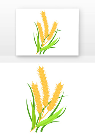 卡通手绘麦穗粮食 卡通手绘麦穗粮食