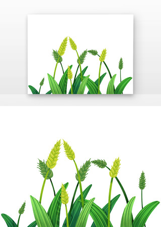 ���Ԫ����ʳ