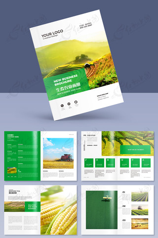 农业合作社宣传册 农业合作社宣传册