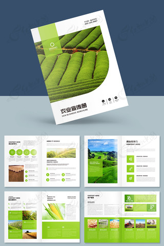 ��ɫũҵ���� AI