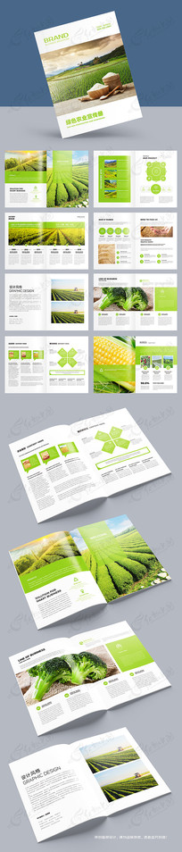 ��ɫũҵ������ģ��