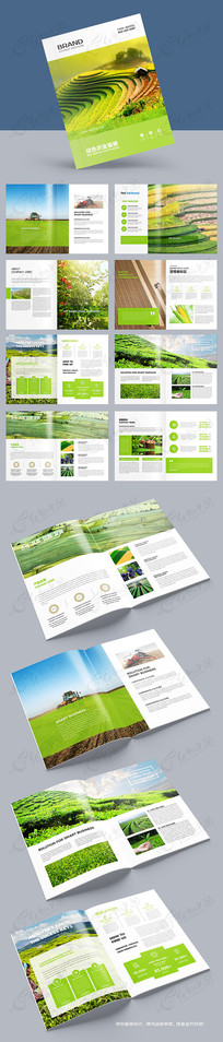 ��ɫʳƷ����ģ��